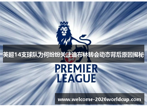 英超14支球队为何纷纷关注迪布林转会动态背后原因揭秘