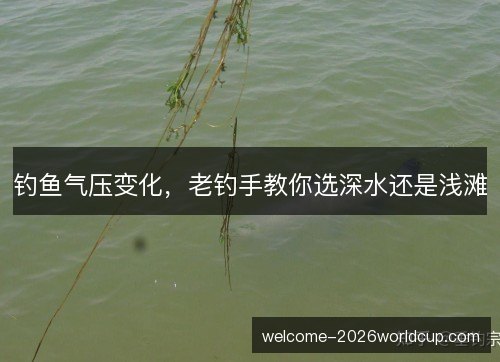 钓鱼气压变化，老钓手教你选深水还是浅滩